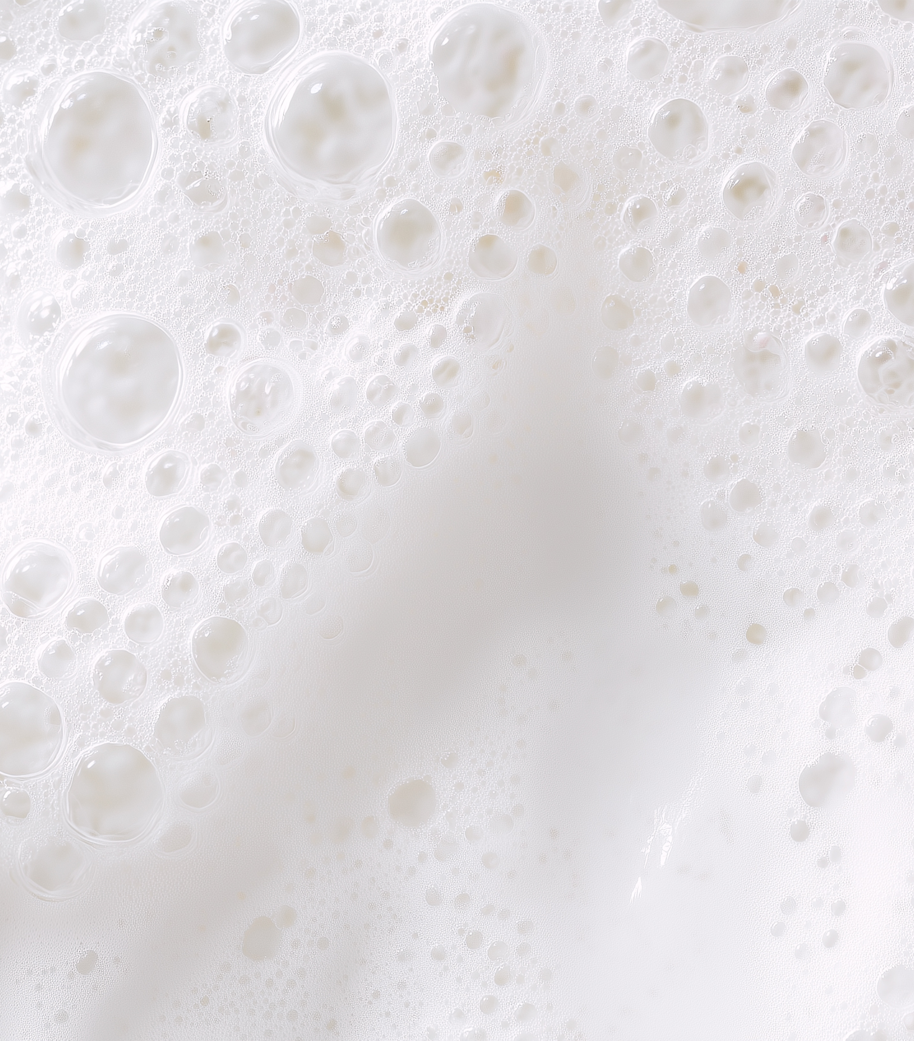 Grey Reverse Shampoo